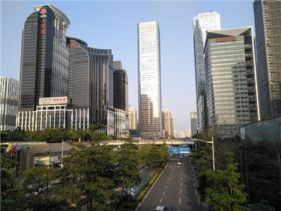广州新茶嫩茶wx：带你领略新鲜的茶叶世界